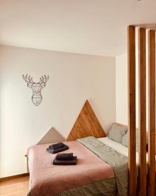 Studio Apartman Nomad Divčibare