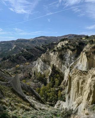 Dal Contadino