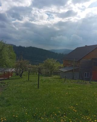 Смерека