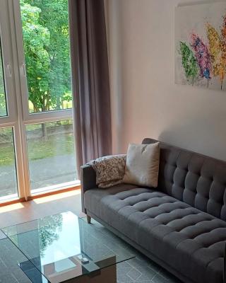 Nelli apartman free parking
