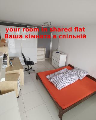 Nomads room nearest forest Kamýk