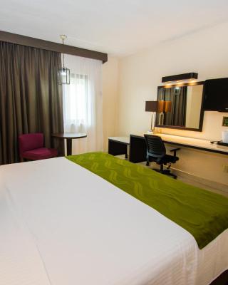 Eco City Hoteles