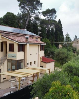 LOCANDA OLIVI affitta camere