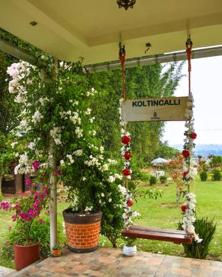 Koltincalli