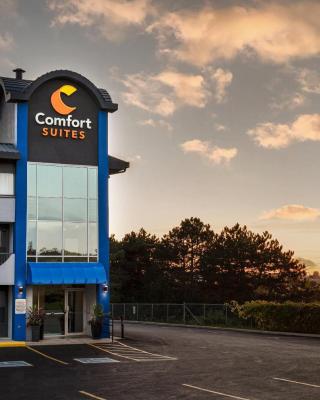Comfort Suites Kingston Central