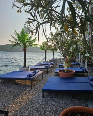 Apartments Villa Dom