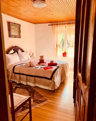 Flat in Leskovik