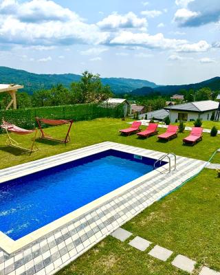 Vila David 2 Comarnic