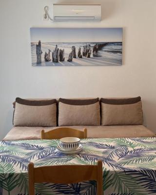 Family apartment Krivokapic