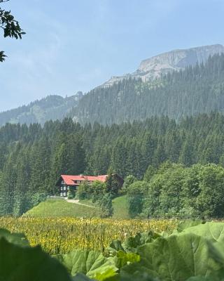 Walmendinger Haus
