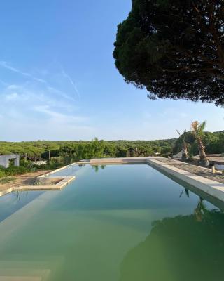 Stone Pines Eco Glamping