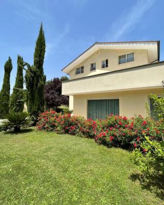 B&B Terra del Sole