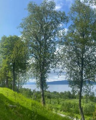 Bed and Breakfast Nordic Horn