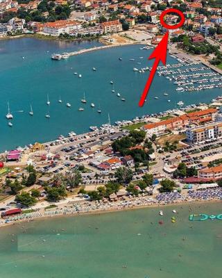 Apartments PALMA Bed & Breakfast