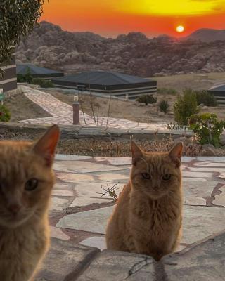 Petra Wassaif Camp
