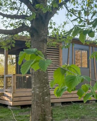 Camping Onlycamp le Champ d'été