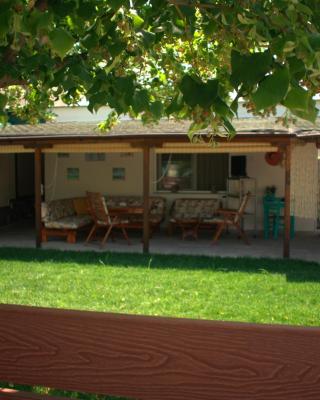 Verde Home