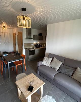 L Évidence, 4 à 5 couchages, 1 chambre, cellier, Meublé de Tourisme 3 étoiles, vue dégagée, parking gratuit