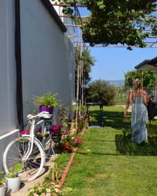 Rustic Tale Guesthouse