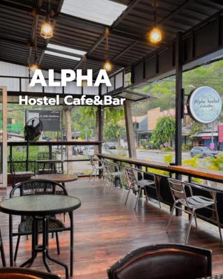 ALPHA Hostel Cafe&Bar