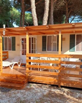 Italian Holidays Mobile house in Ameglia