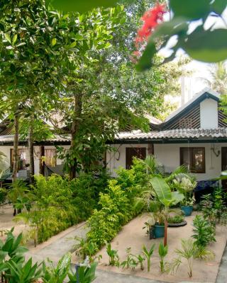 Bay Dreams Beach Hotel & Surf Camp