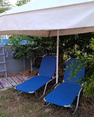 Beautiful nearby beach house with garden, private pool and large yard