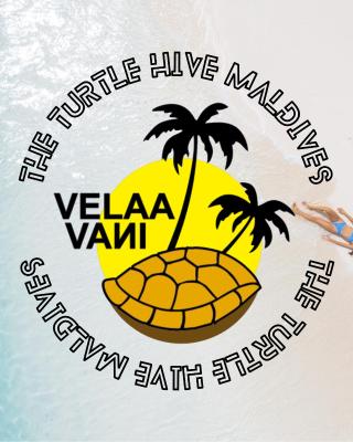 The Turtle Hive Maldives - Velaa Vani Dhiffushi