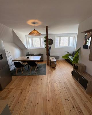 appartement en plein centre