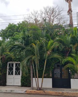 Hotel Downtown Merida
