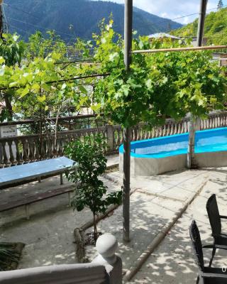 Shota's Guest House