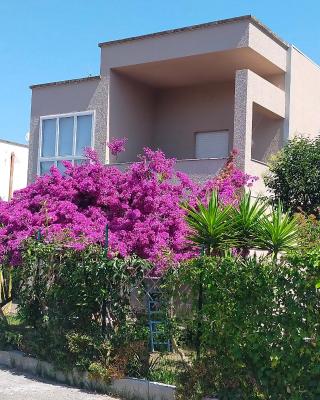 Cinzia House