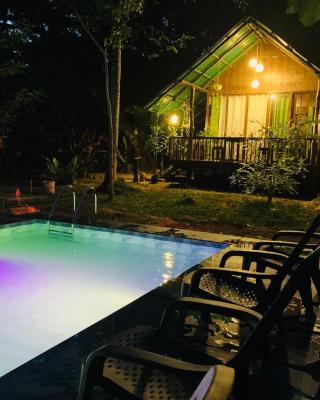 Coconut Tree House
