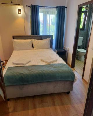 Casa Darius Cluj