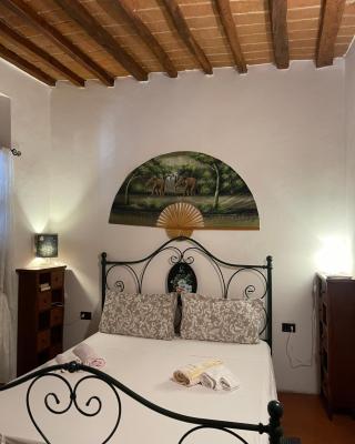 Toscana, La Terra Del Vino Sharon House per Degustare il Chianti!