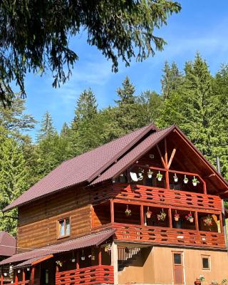 Cabana Sânziana