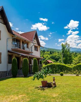 Pensiunea Colt De Rai