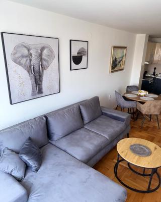 DarViva Apartment Niš, center, private garage parking, river view