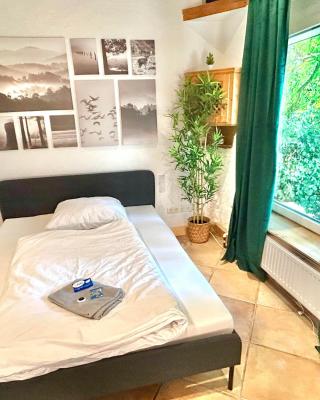 Honor - All in One Room