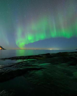 Northern Light Hotell/Camp Steinfjord