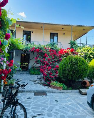 Guesthouse Mtkvari