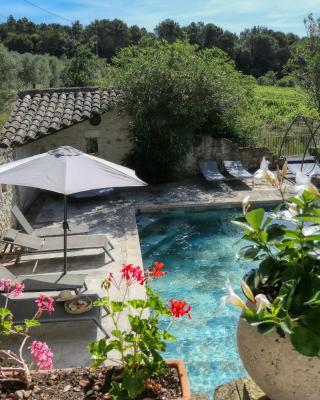Escapade romantique en Drôme, vue sur les vignes