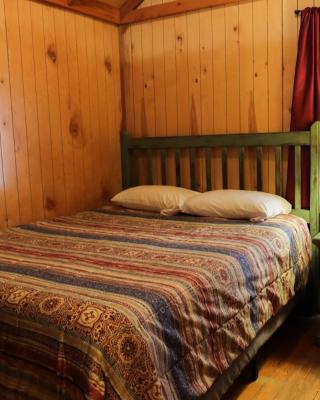 Lakeview Cedar Cabin - The Birds Nest - 1
