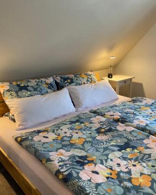 Ferienwohnung Ausguck