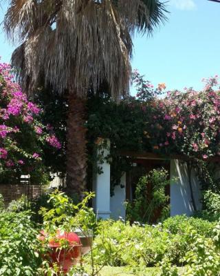 Villa Reinet Guest House