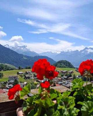 Le Nid d'aigle apt Leysin centre avec forfait piscine sauna jacuzzi en option
