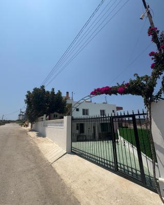 Vila Star