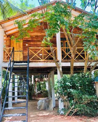 Osheen Homestay Sigiriya
