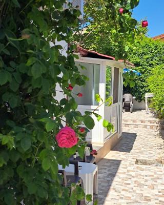 Yraida's house Constanta