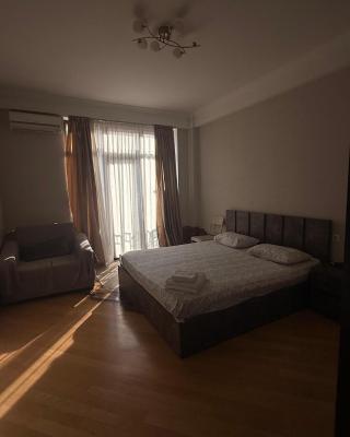Tbilisi city apartment I